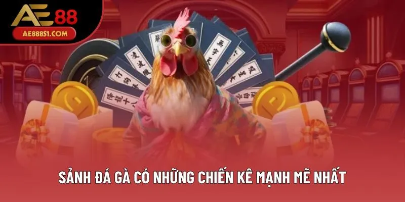 Kinh Nghiệm Tham Gia Đá Gà AE888 Hiệu Quả